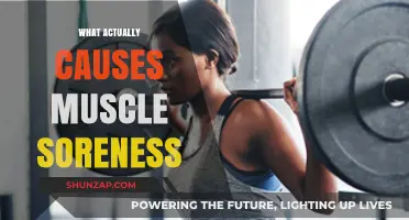 Understanding Muscle Soreness: Causes and Mechanisms