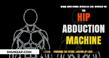 Hip Abduction Machine: Unlocking Hidden Muscle Benefits Beyond the Obvious