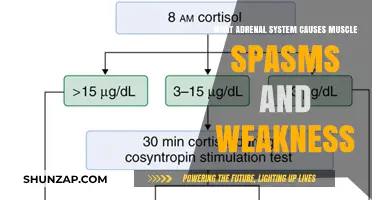 Adrenal Dysfunction: Muscle Spasms and Weakness