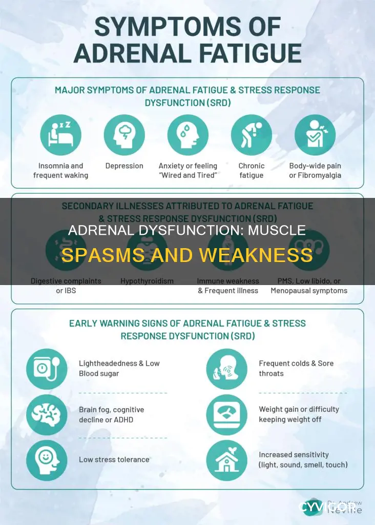 what adrenal system causes muscle spasms and weakness
