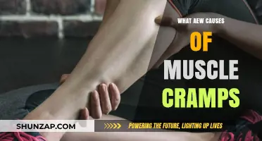 Muscle Cramps: Causes and Prevention