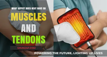 Heat's Impact on Muscles and Tendons: A Comprehensive Guide