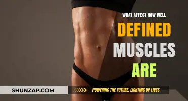 Unveiling the Secrets: Factors That Define Muscular Definition