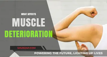 Unraveling the Factors Behind Muscle Deterioration: A Comprehensive Guide