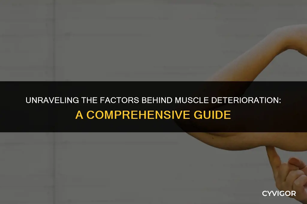 what affects muscle deterioration