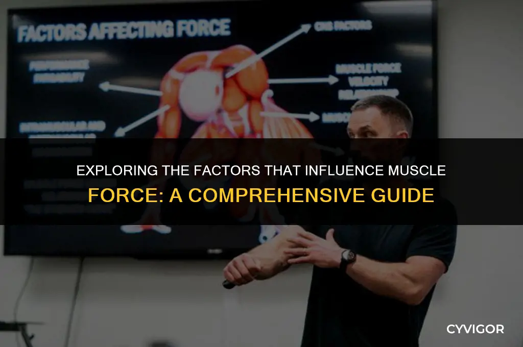 what affects muscle force