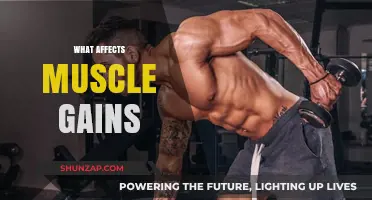 Factors Influencing Muscle Growth: Nutrition, Training, and Recovery Secrets