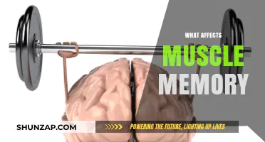 Unlocking the Secrets: Factors That Influence Muscle Memory