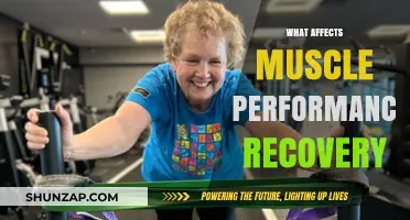 Unraveling the Factors That Influence Muscle Recovery Performance