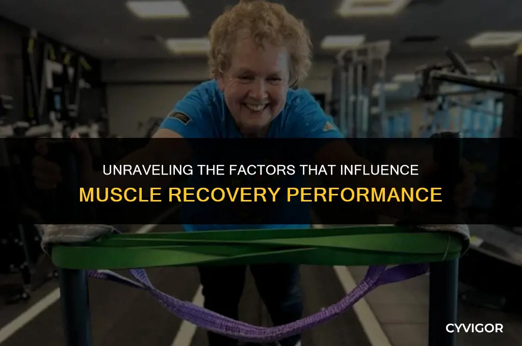 what affects muscle performance recovery
