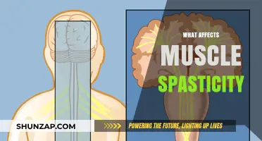 Exploring the Factors That Influence Muscle Spasticity
