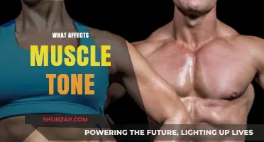 Exploring the Factors That Influence Muscle Tone and Definition