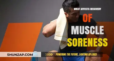 Unraveling the Factors That Influence Muscle Soreness Recovery