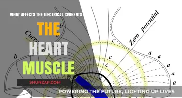 Exploring the Factors That Influence Cardiac Electrical Currents
