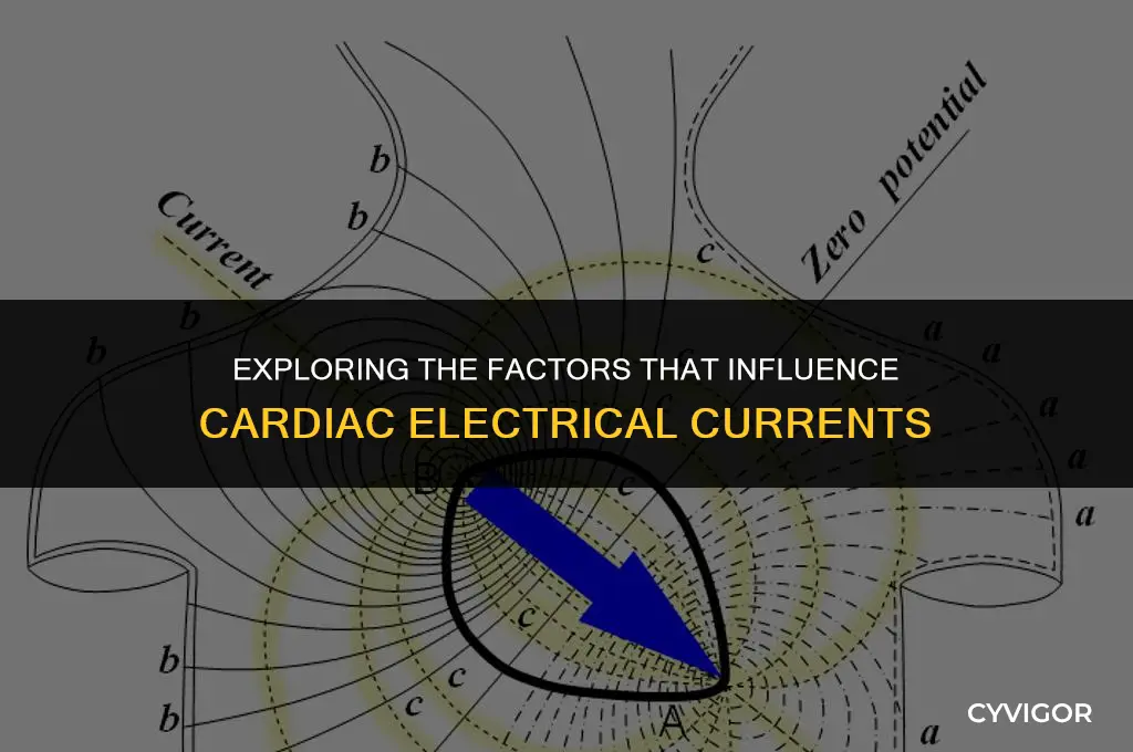 what affects the electrical currents of the heart muscle