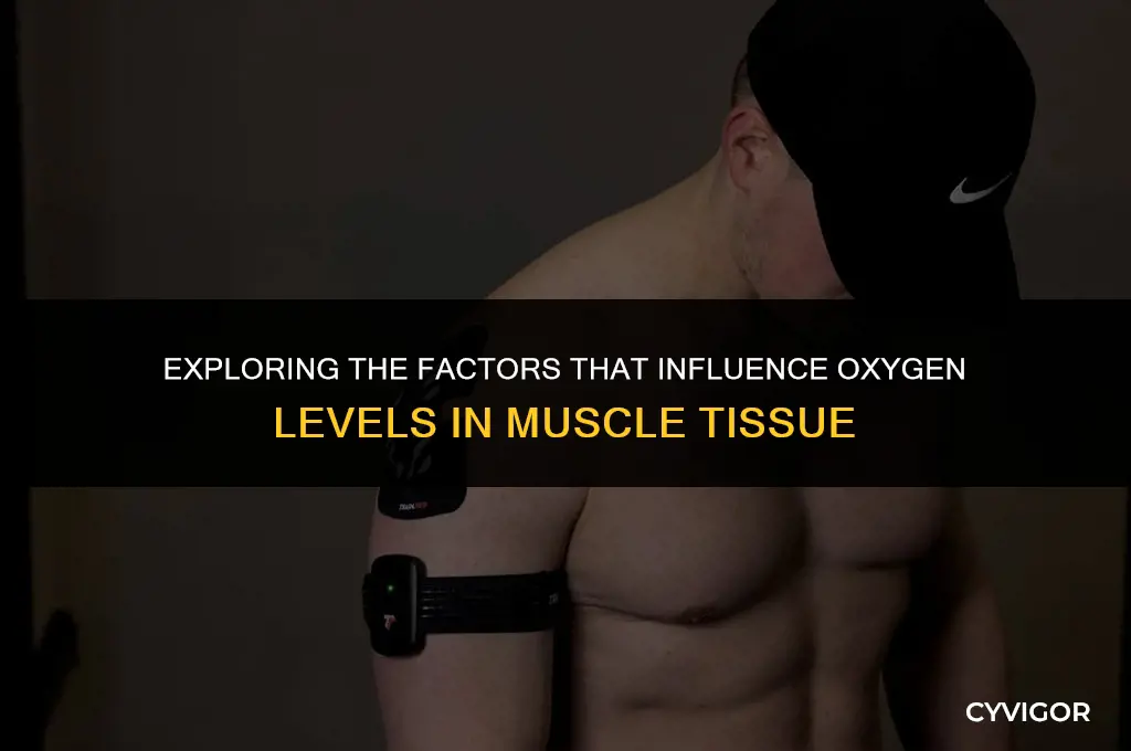 what affects the level of o2 in muscle