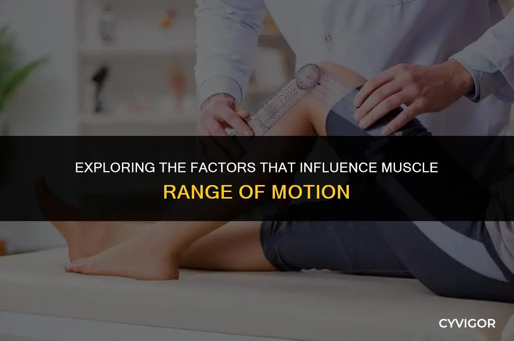 what affects the range of motion of a muscle