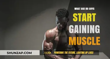 When Do Men Typically Begin Building Muscle Mass?