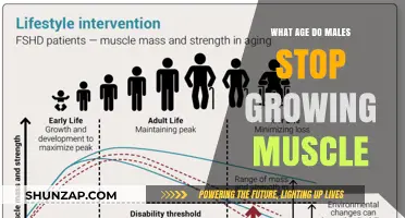 When Does Muscle Growth Peak in Men: Age Insights