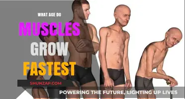 Optimal Muscle Growth Ages: When Do Muscles Develop Fastest?