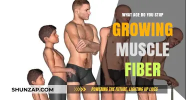 When Does Muscle Growth Stop? Understanding Age and Fiber Limits