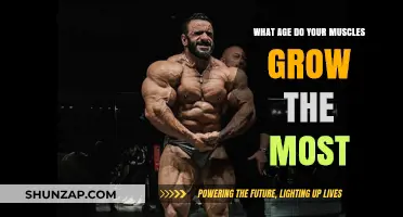 Peak Muscle Growth: When Do Your Muscles Develop the Most?