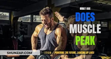 Muscle Peak Age: Unlocking the Body's Potential