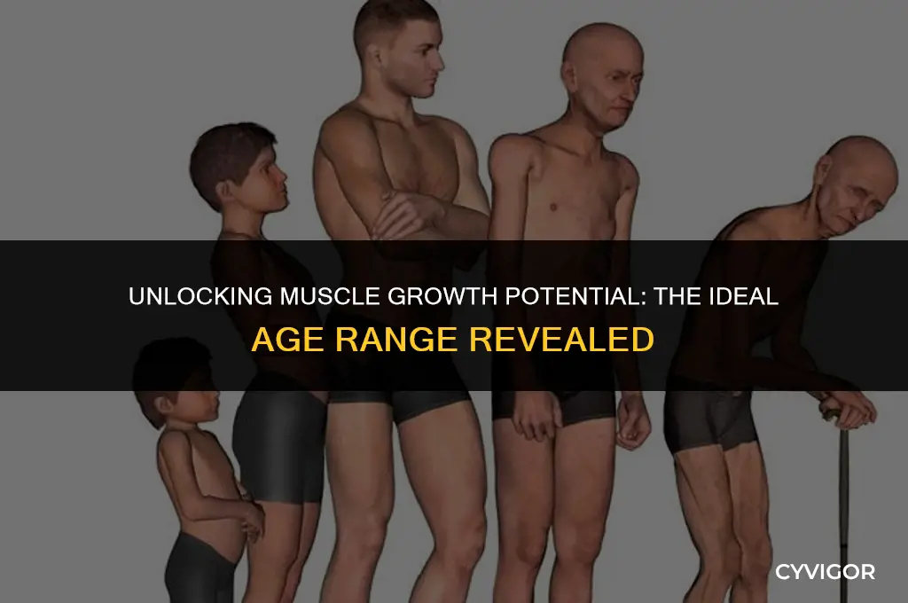 what age is good for muscles growth