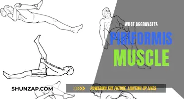 Piriformis Aggravators: Causes of Piriformis Muscle Pain and Discomfort