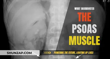 Understanding Psoas Muscle Aggravators: Causes and Triggers