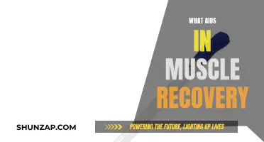 Muscle Recovery: Strategies for Optimal Performance and Healing