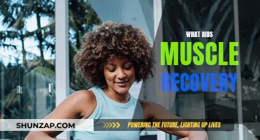 Muscle Recovery: Strategies for Optimal Performance and Healing