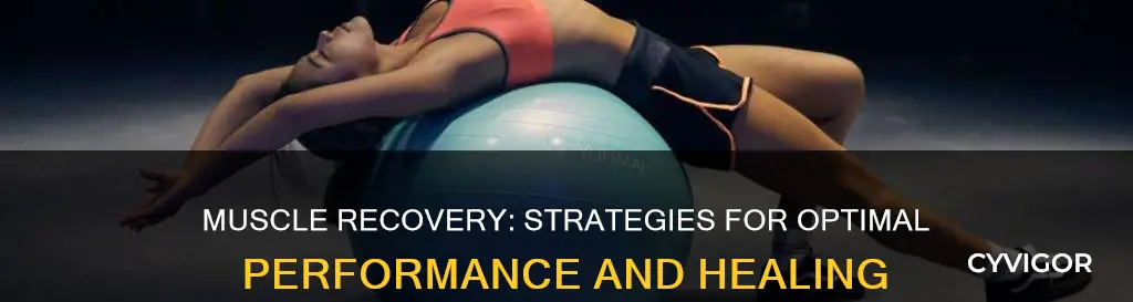 what aids muscle recovery