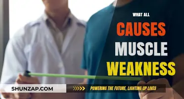 Muscle Weakness: Uncovering the Root Causes