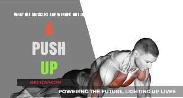 Push-Up Power: Muscles Targeted in This Full-Body Exercise