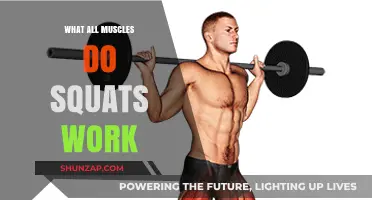 Squats: A Full-Body Workout Targeting Multiple Muscle Groups Effectively