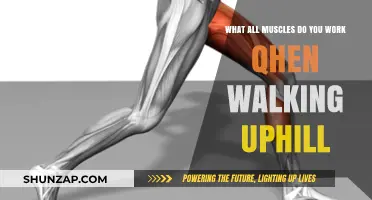 Walking Uphill: Muscles Engaged and Strengthened During Incline Trekking
