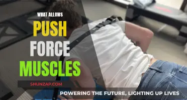 Push Force Muscles: The Power Behind Your Push