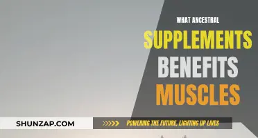 Muscle Gain with Ancestral Supplements: Benefits and Insights