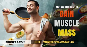 Fuel Your Muscle Growth: Optimal Eating Strategies for Mass Gain