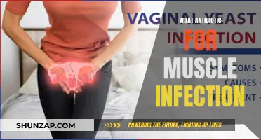 Muscle Infections: Antibiotics for Recovery and Healing