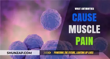 Antibiotics and Muscle Pain: What's the Link?