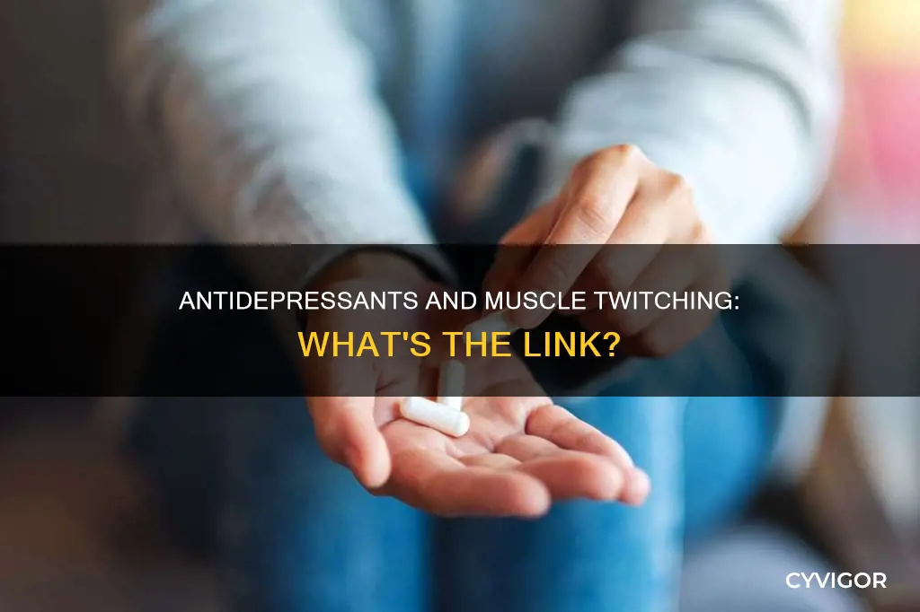 what antidepressants cause muscle twitching
