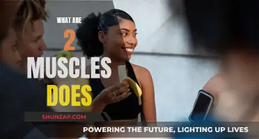 How Muscles Work: A Two-Way Stretch
