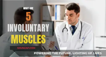 Involuntary Muscles: 5 Unconscious Movers in Your Body
