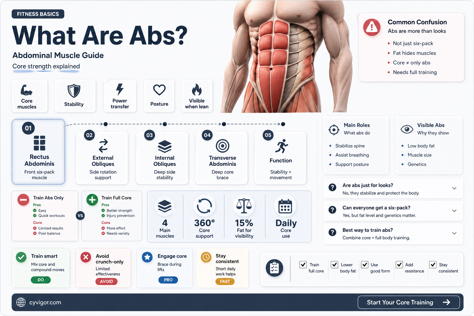 are abs a muscle