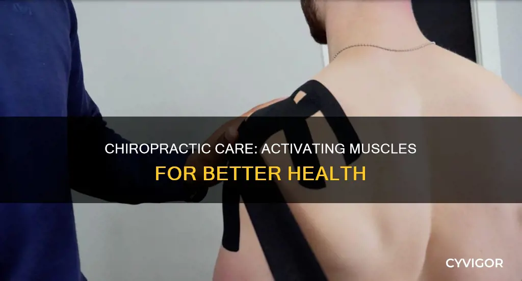 what are activated muscles chiropractic