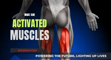 Activating Muscles: Unlocking the Power of Movement