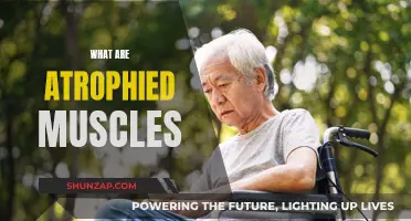 Understanding Atrophied Muscles: Causes and Effects