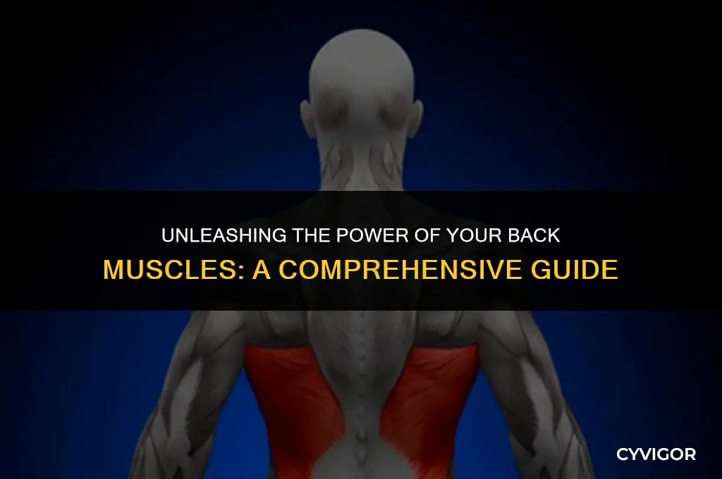 what are back muscles good for